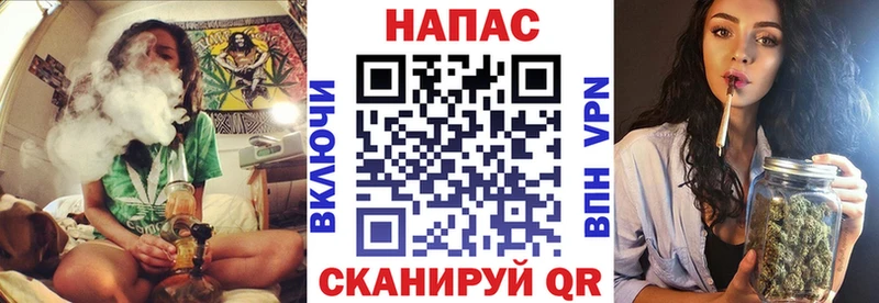 Бошки Шишки семена  Юрьев-Польский 